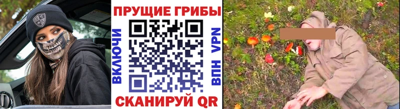 Галлюциногенные грибы Psilocybine cubensis  Лобня 